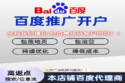 某电商平台的SEM推广策略——代运营公司的实践